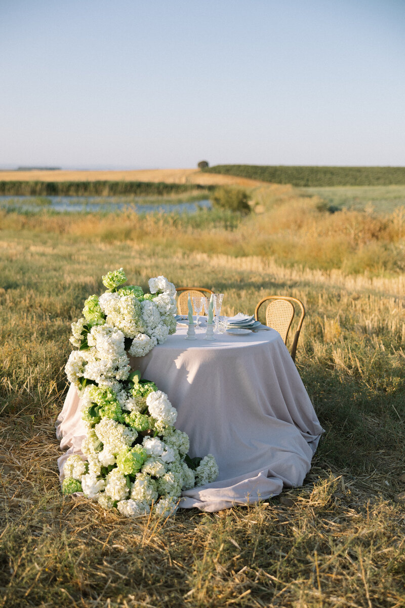 Marina & Checa. Marriage Proposal